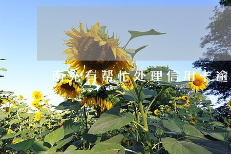南充有帮忙处理信用卡逾期的 南充有帮忙处理信用卡逾期的