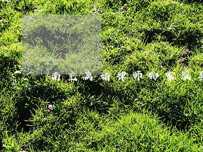 南充离婚律师哪家服务好 南充离婚律师哪家服务好