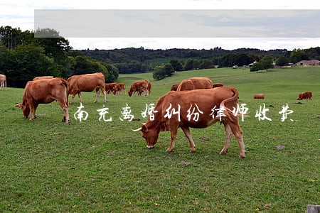 南充离婚纠纷律师收费 南充离婚纠纷律师收费