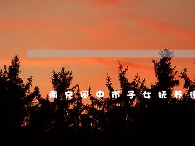 南充阆中市子女抚养律师业务 南充阆中市子女抚养律师业务