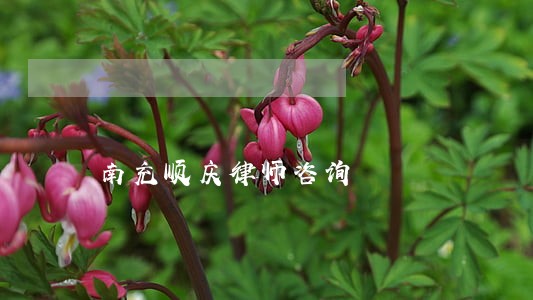 南充顺庆律师咨询 南充顺庆律师咨询