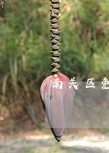 南关区免费法律援助中心 南关区免费法律援助中心