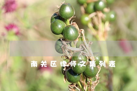 南关区律师文集列表
