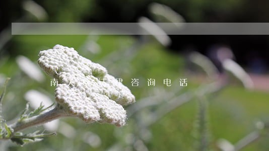 南关区法律咨询电话 南关区法律咨询电话