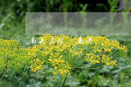 南关法院佀庆涛 南关法院佀庆涛