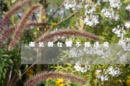 南北朝女孩不嫁违法 南北朝女孩不嫁违法
