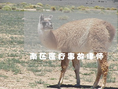 南区医疗事故律师 南区医疗事故律师
