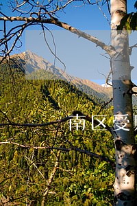 南区受贿犯罪律师 南区受贿犯罪律师