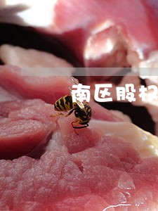 南区股权纠纷律师咨询电话