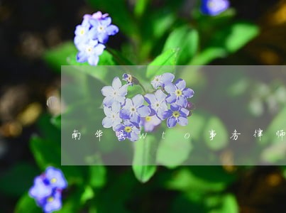 南华县wto事务律师咨询电话 南华县wto事务律师咨询电话