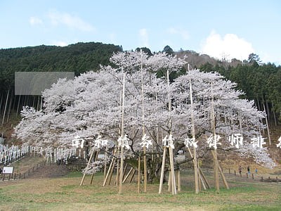 南和债务债权律师排名 南和债务债权律师排名
