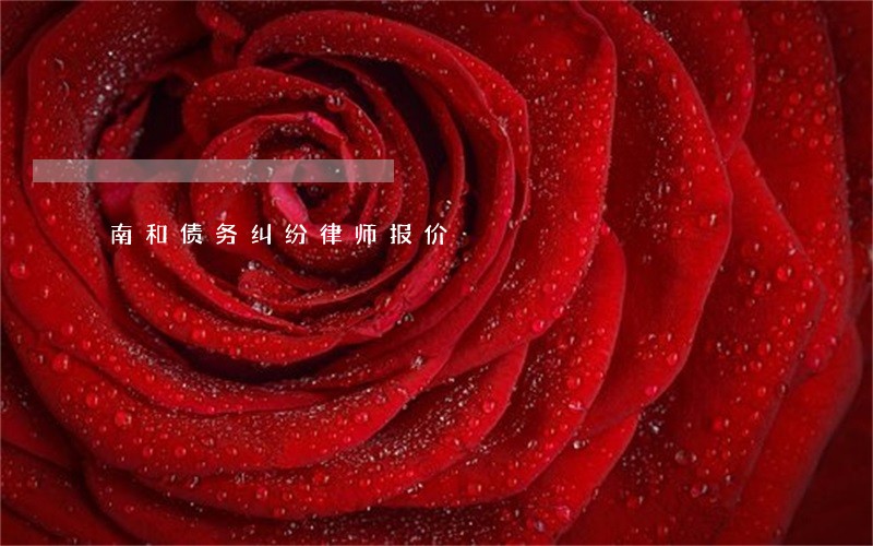 南和债务纠纷律师报价 南和债务纠纷律师报价