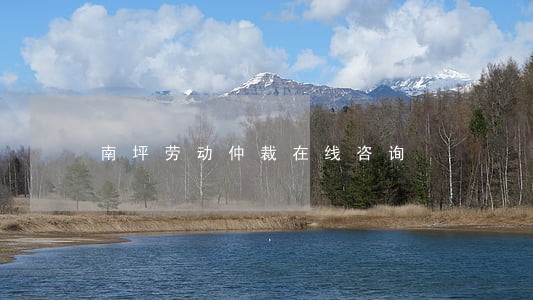 南坪劳动仲裁在线咨询 南坪劳动仲裁在线咨询