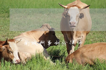 南城刑事纠纷律师 南城刑事纠纷律师