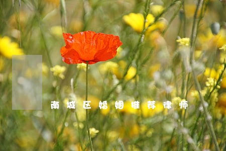 南城区婚姻推荐律师 南城区婚姻推荐律师