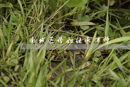 南城区婚姻继承律师 南城区婚姻继承律师