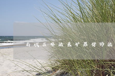 南城区非法采矿罪律师法律服务 南城区非法采矿罪律师法律服务