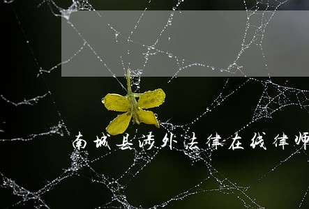 南城县涉外法律在线律师 南城县涉外法律在线律师
