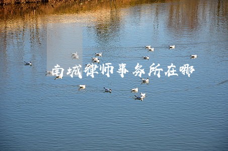 南城律师事务所在哪 南城律师事务所在哪
