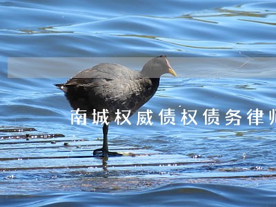 南城权威债权债务律师价格 南城权威债权债务律师价格