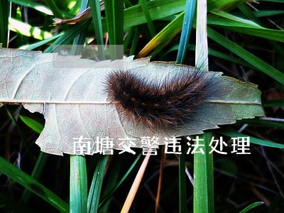 南塘交警违法处理 南塘交警违法处理