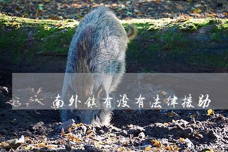 南外镇有没有法律援助 南外镇有没有法律援助