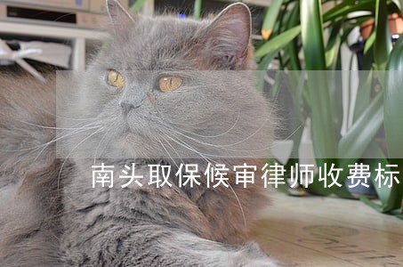 南头取保候审律师收费标准 南头取保候审律师收费标准
