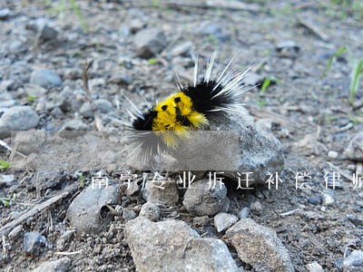南宁专业拆迁补偿律师价格 南宁专业拆迁补偿律师价格