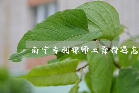 南宁专利律师工资待遇怎么样 南宁专利律师工资待遇怎么样