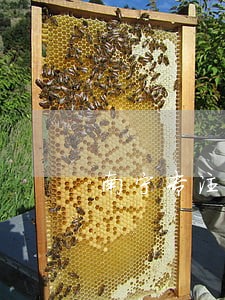南宁专注保释律师推荐 南宁专注保释律师推荐