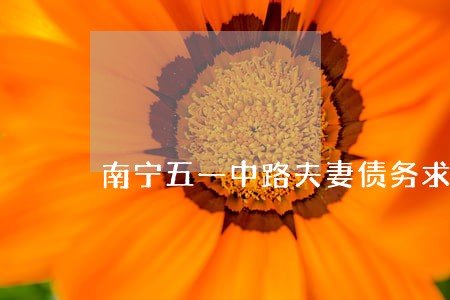 南宁五一中路夫妻债务求援律师 南宁五一中路夫妻债务求援律师