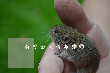 南宁企业债务律师 南宁企业债务律师