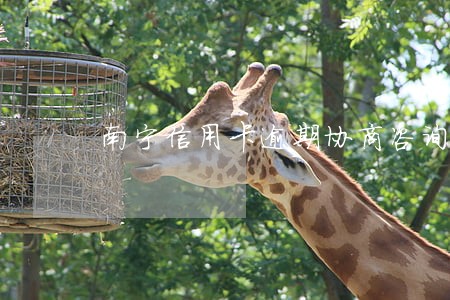 南宁信用卡逾期协商咨询 南宁信用卡逾期协商咨询