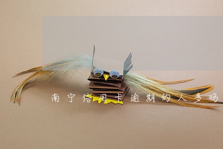 南宁信用卡逾期的人多吗 南宁信用卡逾期的人多吗