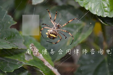 南宁债务合同律师咨询电话 南宁债务合同律师咨询电话