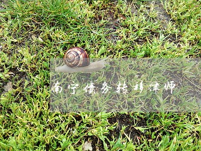 南宁债务转移律师 南宁债务转移律师