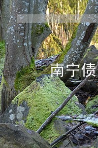 南宁债务违约律师收费 南宁债务违约律师收费