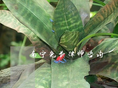 南宁免费律师咨询 南宁免费律师咨询