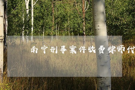 南宁刑事案件收费律师代理 南宁刑事案件收费律师代理