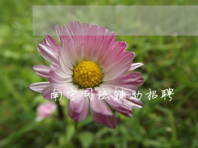 南宁司法辅助招聘 南宁司法辅助招聘