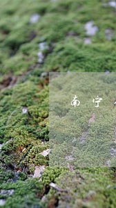 南宁合同诉讼律师介绍 南宁合同诉讼律师介绍