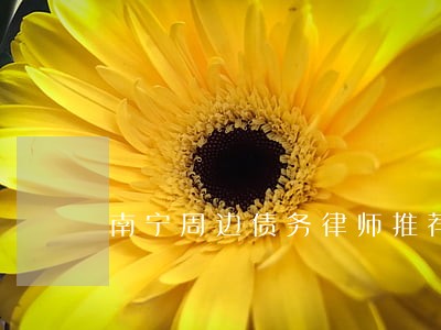 南宁周边债务律师推荐 南宁周边债务律师推荐