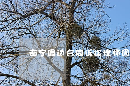 南宁周边合同诉讼律师团队 南宁周边合同诉讼律师团队