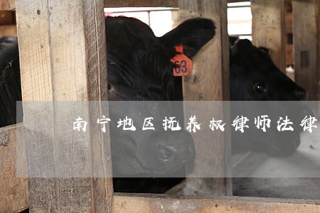 南宁地区抚养权律师法律咨询