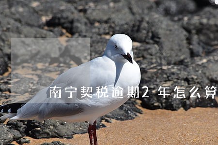 南宁契税逾期2年怎么算逾期费 南宁契税逾期2年怎么算逾期费