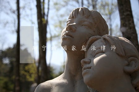 南宁婚姻家庭法律师 南宁婚姻家庭法律师