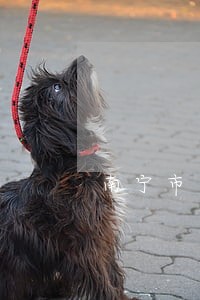 南宁市中级人民法院开庭 南宁市中级人民法院开庭