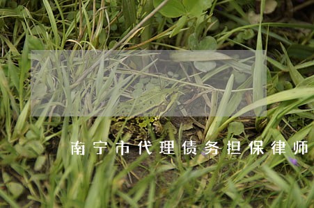 南宁市代理债务担保律师推荐 南宁市代理债务担保律师推荐