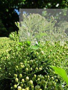 南宁市债务律师哪个好 南宁市债务律师哪个好