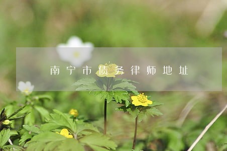 南宁市债务律师地址 南宁市债务律师地址